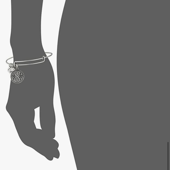 Alex and Ani Path of Life Charm
Bangle Bracelet - Picture 3 of 4